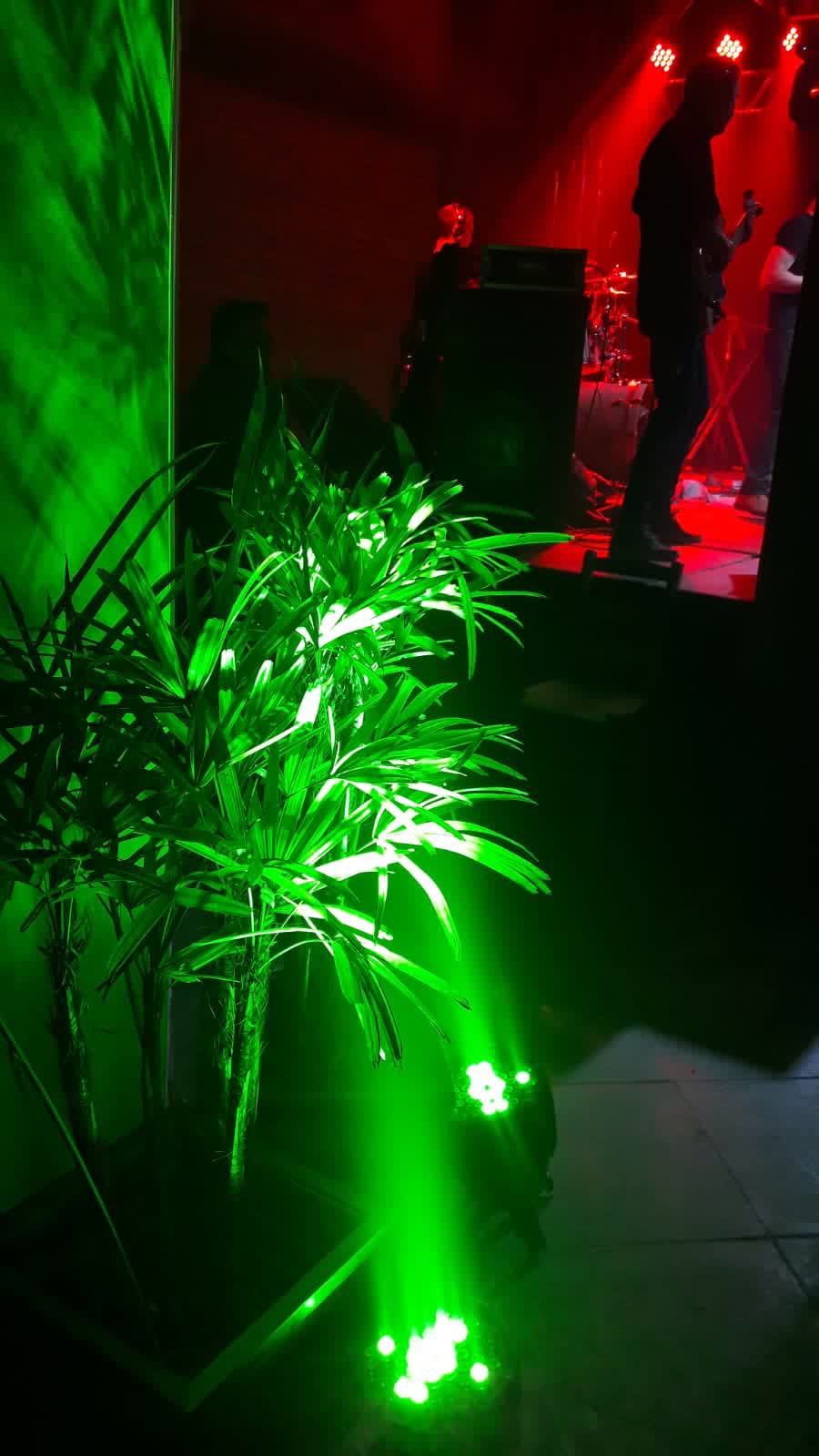 Show ao vivo com iluminação vermelha e verde